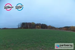 PAN490305586 - zdjęcie nr 1