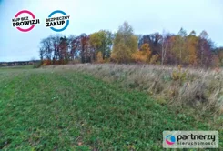 PAN490305586 - zdjęcie nr 4