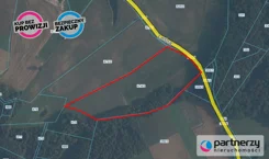 PAN109051137 - zdjęcie nr 0