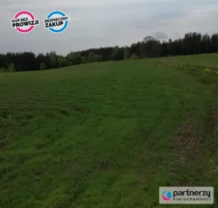 PAN713851 - zdjęcie nr 3