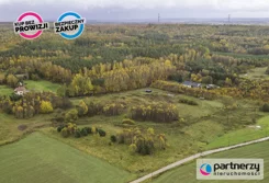 PAN336826 - zdjęcie nr 1