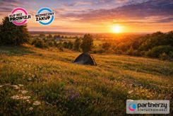 PAN583709 - zdjęcie nr 3