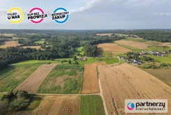 PAN664109 - zdjęcie nr 3