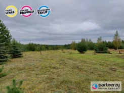 PAN985008 - zdjęcie nr 4