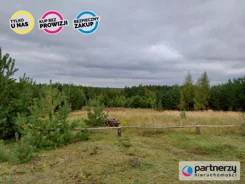 PAN292602 - zdjęcie nr 3