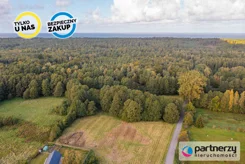 PAN473192 - zdjęcie nr 4