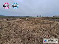 PAN894039 - zdjęcie nr 3