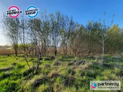 PN424568 - zdjęcie nr 4