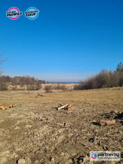 PAN117937203 - zdjęcie nr 2