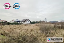 PAN199580 - zdjęcie nr 3