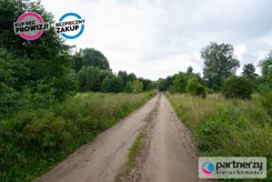 PAN652070 - zdjęcie nr 4