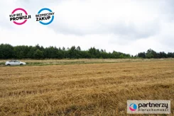 PAN674974 - zdjęcie nr 2