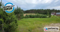 PAN462944 - zdjęcie nr 2