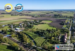 PAN429403 - zdjęcie nr 4