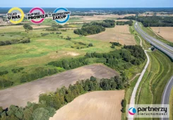PAN308917 - zdjęcie nr 3