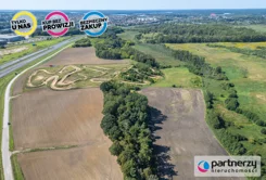 PAN308917 - zdjęcie nr 4