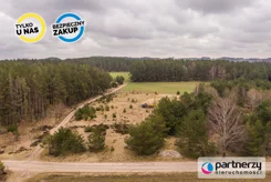 PAN360546 - zdjęcie nr 4