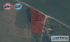 PAN635406 - zdjęcie nr 3