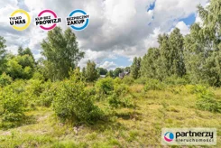 PAN922440 - zdjęcie nr 3