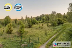 PAN580460 - zdjęcie nr 0