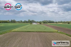 PAN770914 - zdjęcie nr 4