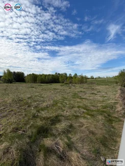 PAN170008 - zdjęcie nr 0