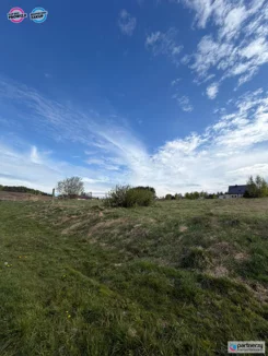 PAN170008 - zdjęcie nr 2