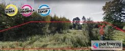 PAN588243 - zdjęcie nr 2