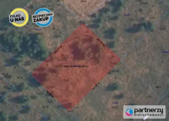 PAN280790 - zdjęcie nr 3