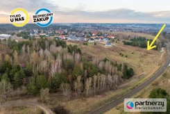 PAN453936 - zdjęcie nr 1