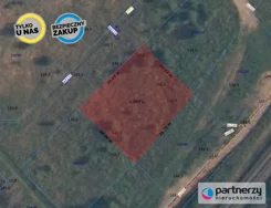 PAN714026 - zdjęcie nr 0