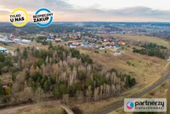 PAN714026 - zdjęcie nr 3