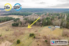 PAN351452 - zdjęcie nr 0