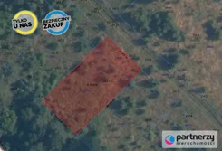 PAN351452 - zdjęcie nr 3