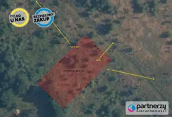 PAN270578 - zdjęcie nr 1