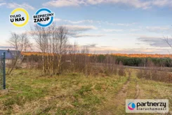 PAN255053 - zdjęcie nr 3