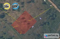 PAN255053 - zdjęcie nr 4