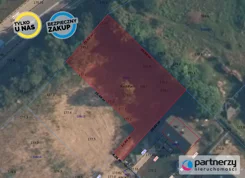 PAN464853 - zdjęcie nr 2