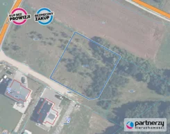 PAN210554 - zdjęcie nr 3