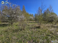 PAN514456 - zdjęcie nr 0