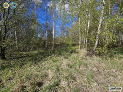 PAN676910 - zdjęcie nr 2