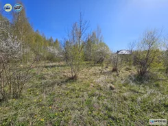 PAN676910 - zdjęcie nr 3