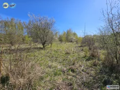 PAN322756 - zdjęcie nr 4