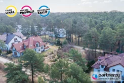 PAN975381 - zdjęcie nr 1