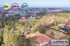 PAN975381 - zdjęcie nr 4