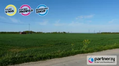 PAN520528884 - zdjęcie nr 3
