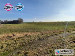 PAN708477 - zdjęcie nr 3