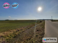 PAN708477 - zdjęcie nr 4