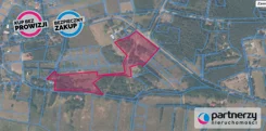 PAN754875 - zdjęcie nr 4