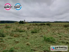 PAN246617 - zdjęcie nr 2